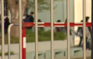 Μαθητές διακινούσαν ναρκωτικά σε σχολείο της Αττικής - 12 συλλήψεις