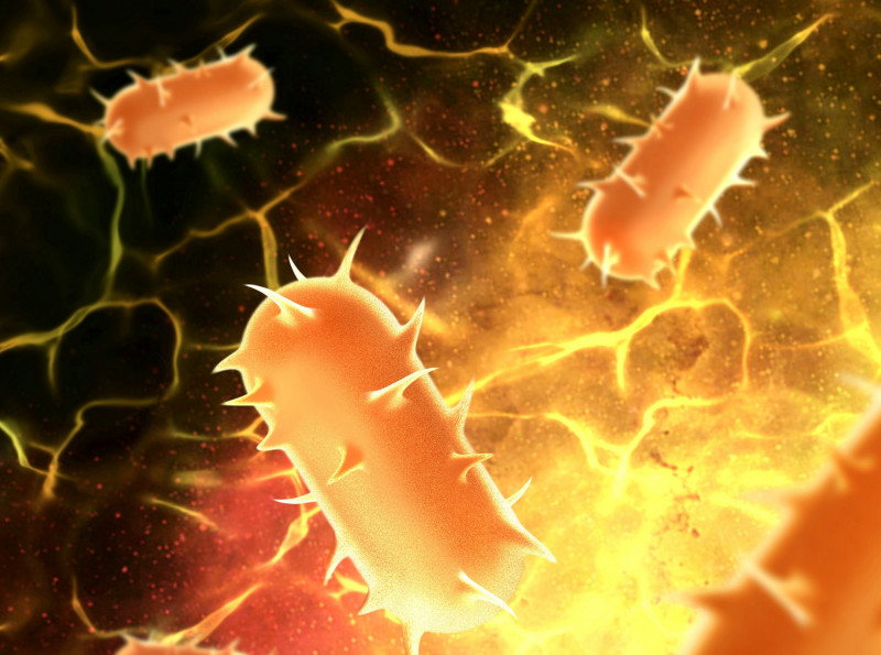 Νέα μετάλλαξη κορονοϊού εντοπίστηκε στο Βέλγιο