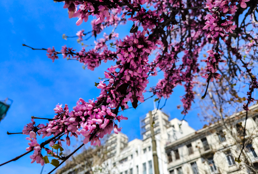 Καιρός: Ανοιξιάτικο άλμα της θερμοκρασίας - Η πρόγνωση Κολυδά