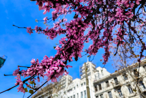 Καιρός: Ανοιξιάτικο άλμα της θερμοκρασίας - Η πρόγνωση Κολυδά