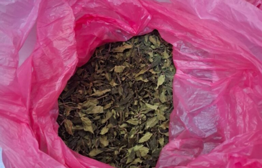 Η μεγαλύτερη κατάσχεση φυσικής κόκας: Μισός τόνος αξίας €1,5 εκατ. εντοπίστηκε στο «Ελ. Βενιζέλος»