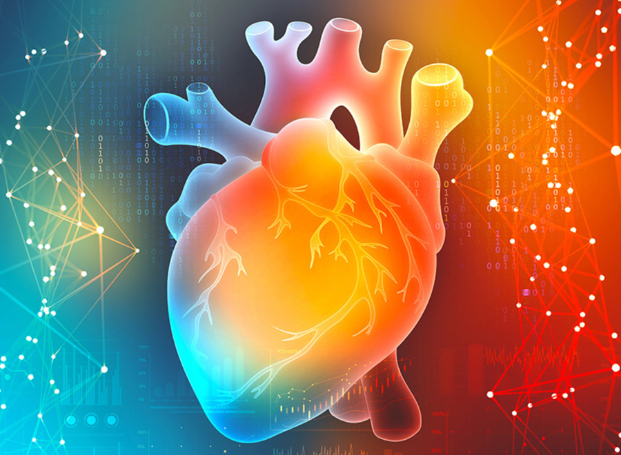 Μέθοδος TAVI για αντιμετώπιση στένωσης της αορτικής βαλβίδας, στο Metropolitan Hospital