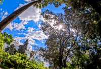 Αίθριος ο καιρός σήμερα, με πτώση της θερμοκρασίας - Πού υπάρχει πιθανότητα βροχής