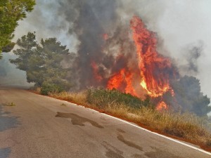 Ζάκυνθος: Προσπάθειες να μην φτάσει η φωτιά στο χωριό Αγαλάς