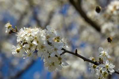 Αίθριος ο καιρός σήμερα Σάββατο