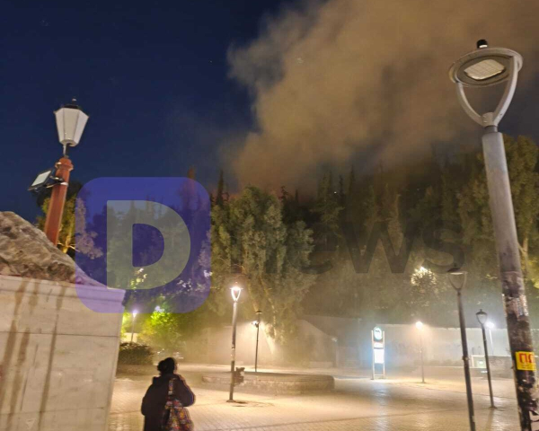 Φωτιά τώρα στη Δάφνη