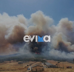 Φωτιά τώρα στην Εύβοια, εστάλη και 112