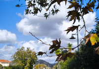 Αίθριος καιρός και 20αρια σήμερα Τρίτη