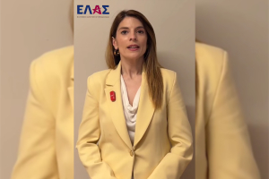 Παπαδοπούλου για την έκθεση του ΟΟΣΑ: Σήμα κινδύνου για τη δημοκρατία στην Ελλάδα
