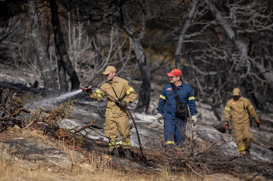 Αντιπυρική περίοδος 2022: Ξεκινά από σήμερα η έκδοση του Ημερήσιου Χάρτη Πρόβλεψης Κινδύνου Πυρκαγιάς