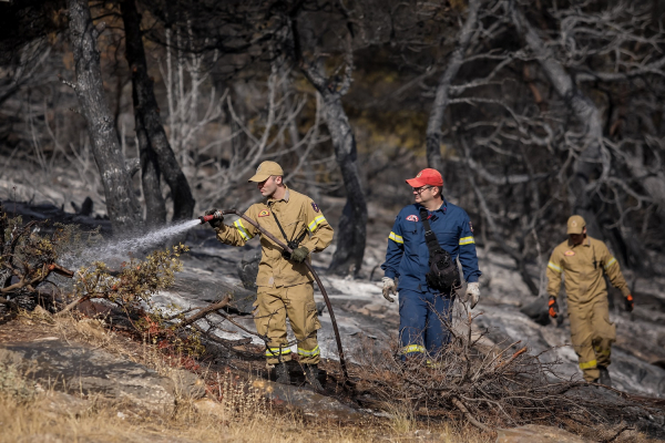 Αντιπυρική περίοδος 2022: Ξεκινά από σήμερα η έκδοση του Ημερήσιου Χάρτη Πρόβλεψης Κινδύνου Πυρκαγιάς