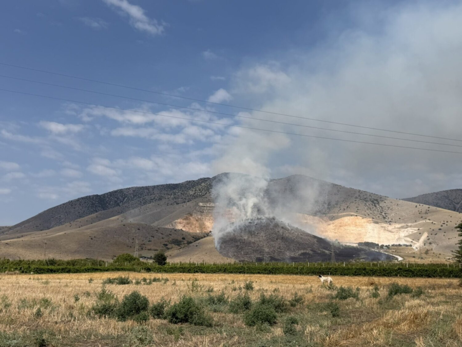 Φωτιά στον Τύρναβο: Οριοθετήθηκε το μέτωπο (εικόνες)