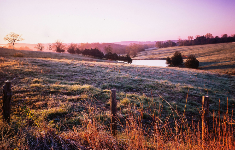 Μιζούρι: Ασθενής πέθανε όταν «αμοιβάδα του έφαγε τον εγκέφαλο»