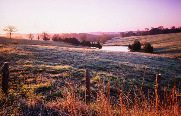 Μιζούρι: Ασθενής πέθανε όταν «αμοιβάδα του έφαγε τον εγκέφαλο»