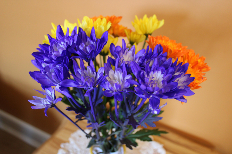 pexels/Keith Cassill