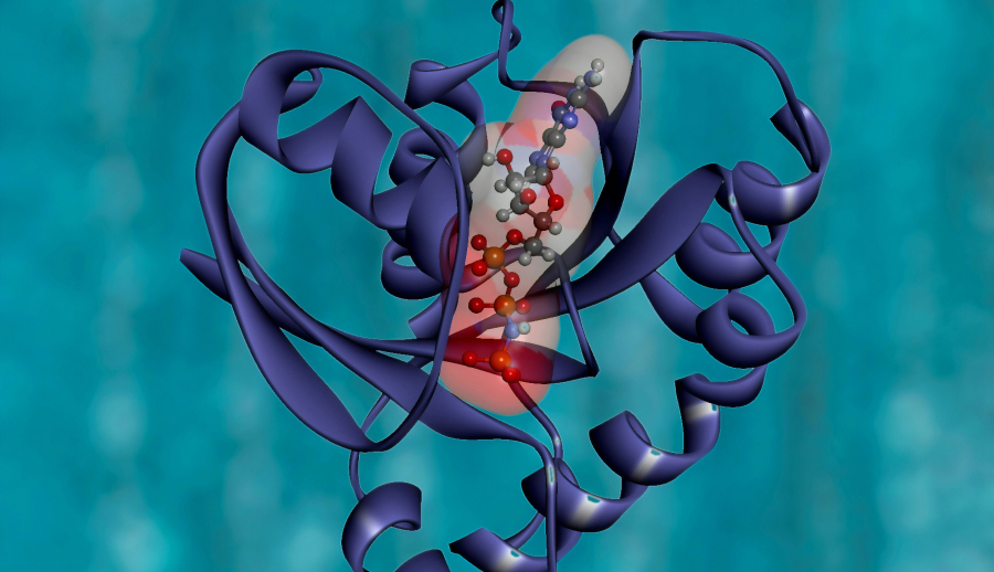 Ανακαλύφθηκε άγνωστη πρωτεΐνη που θα μπορούσε να «θεραπεύσει» τον καρκίνο