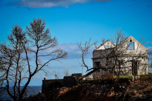 photo: Eurokinissi