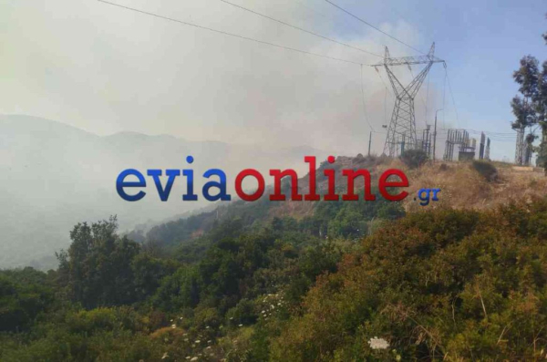 Φωτιά στην Εύβοια: 500 μέτρα από τα σπίτια οι φλόγες - Μήνυμα από το 112 για εκκένωση προς Στύρα (Εικόνες - Βίντεο)