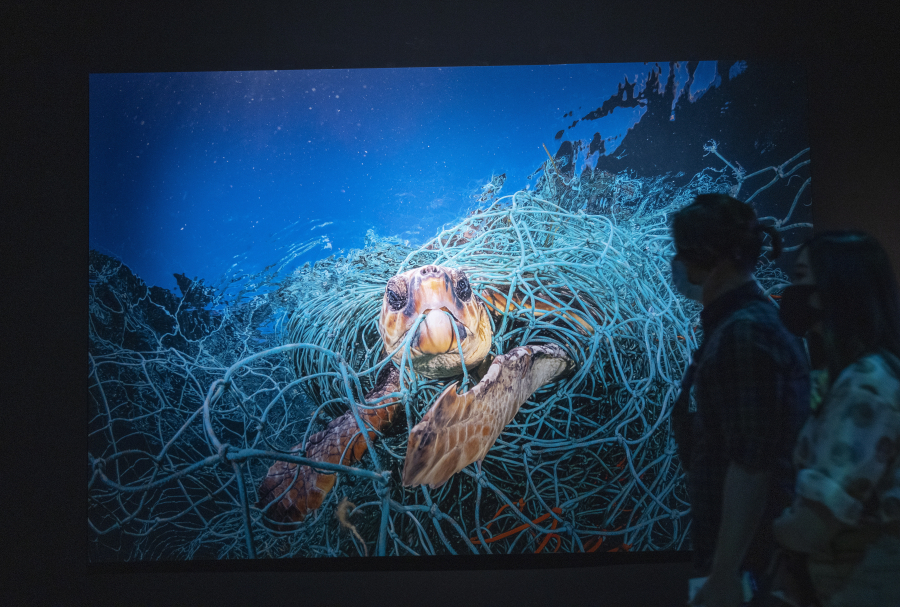 Τέλος εποχής για θρυλικό περιοδικό: Μεγάλο κενό για τους λάτρεις της φωτογραφίας