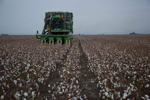 Συνδεδεμένες ενισχύσεις ΟΠΕΚΕΠΕ: Έρχεται νέο πακέτο πληρωμών