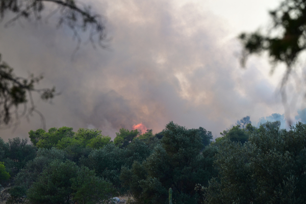 Αιγάλεω: Φωτιά στο Ποικίλο Όρος - Ήχησε 112 για εκκένωση Άνω Δάσους Χαϊδαρίου
