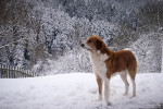 photo: Eurokinissi