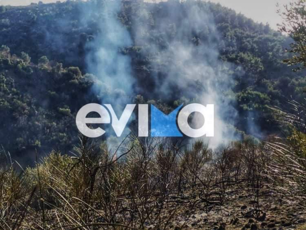 Φωτιά ΤΩΡΑ στην Εύβοια