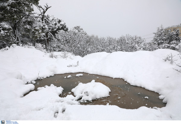 Παπαστεργίου: Η Μήδεια αποκάλυψε τις επικαλύψεις αρμοδιοτήτων κράτους - αυτοδιοίκησης