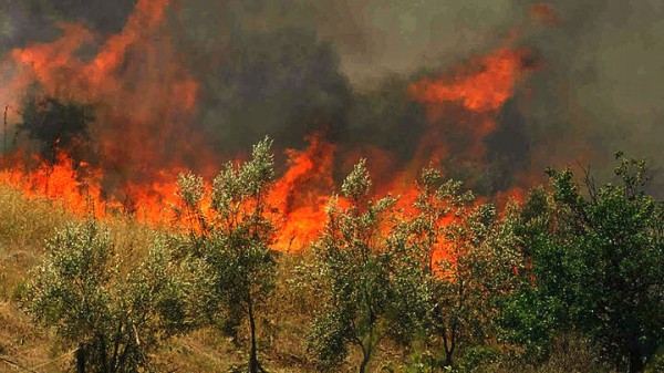 Πολύ υψηλός κίνδυνος πυρκαγιάς σήμερα - Ποιες περιοχές κινδυνεύουν
