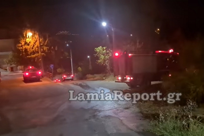 Συναγερμός στη Λαμία: Έβαλαν φωτιά σε οικόπεδο κοντά σε σπίτια (βίντεο)