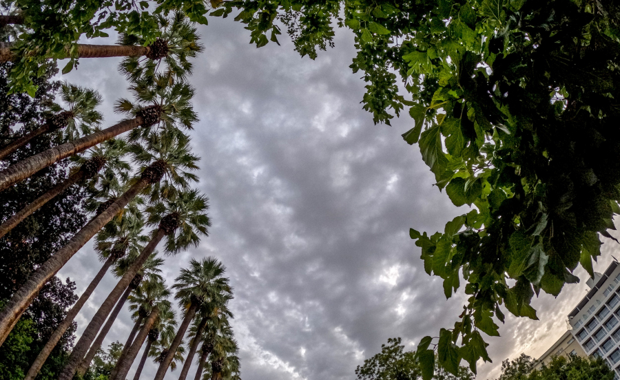 Κακοκαιρία: Κλειστός ο Εθνικός Κήπος λόγω ισχυρών ανέμων