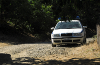 Κρήτη: Χειροπέδες σε βοσκό για χασισοκαλλιέργεια που είχε στο μαντρί του