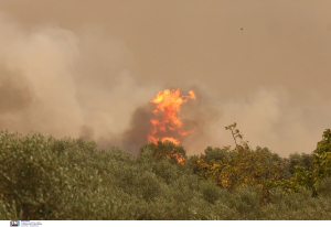 Η φωτιά καίει χωρίς έλεος τον Έβρο - Συνεχείς οι αναζωπυρώσεις σε πύρινο τόξο πολλών χιλιομέτρων