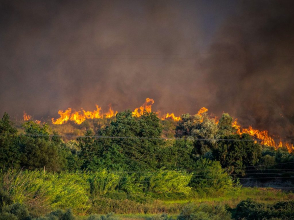 Φωτιά στη Βοιωτία: Εγκλωβισμένοι τουλάχιστον 200 άνθρωποι στον Άγιο Βασίλειο – «Θα καούμε ζωντανοί»