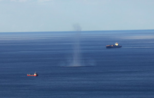 Επίθεση στο Ιράν: «Σκοτώθηκαν ο υπουργός Άμυνας και ο διοικητής των Φρουρών της Επανάστασης»