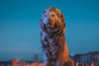 «Porto Leone»: Οι πρώτες δηλώσεις των πρωταγωνιστών της νέας σειράς του Alpha (Βίντεο)