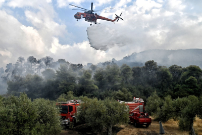 Φωτιά σε δάσος στη Λαμία - Εναέρια μέσα στη μάχη της κατάσβεσης