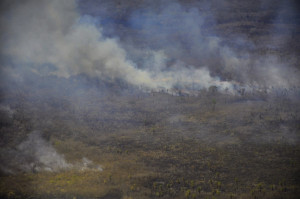 Μεγάλες δασικές πυρκαγιές σε Βολιβία και Παραγουάη - Ανεπανόρθωτη καταστροφή σύμφωνα με περιβαλλοντολόγους