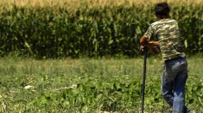 Να πληρώσουν 40 εκ. ευρώ το φθινόπωρο καλούνται 12.000 αγρότες