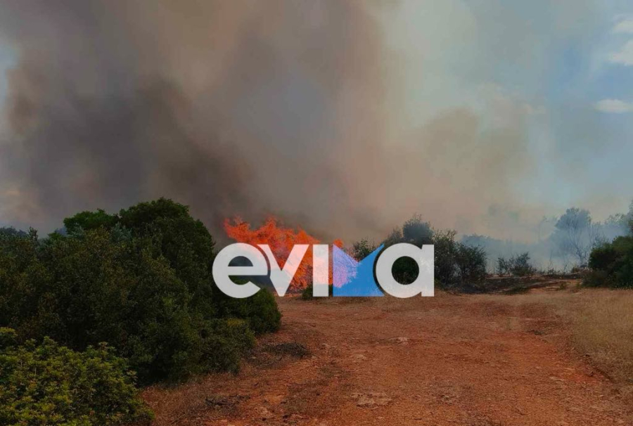 Φωτιά τώρα σε δασική έκταση στη Ριτσώνα, επιχειρούν 5 εναέρια