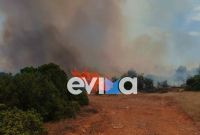 Φωτιά τώρα σε δασική έκταση στη Ριτσώνα, επιχειρούν 5 εναέρια
