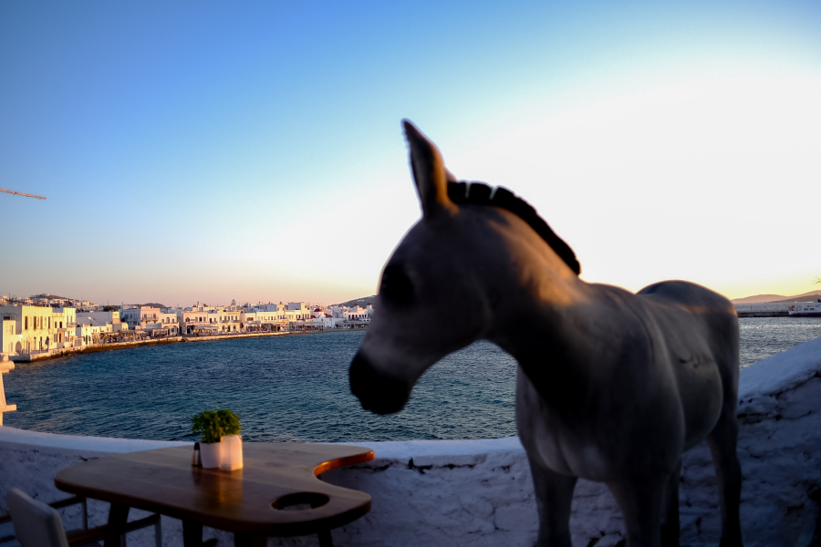 Κοινωνικός Τουρισμός ΟΑΕΔ: 38.000 επιταγές ενεργοποιήθηκαν το πρώτο 15ήμερο του Ιουλίου