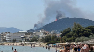 Συναγερμός για φωτιά στη Λούτσα: «Δεν απειλείται ο οικισμός» δηλώνει ο δήμαρχος (εικόνες, βίντεο)