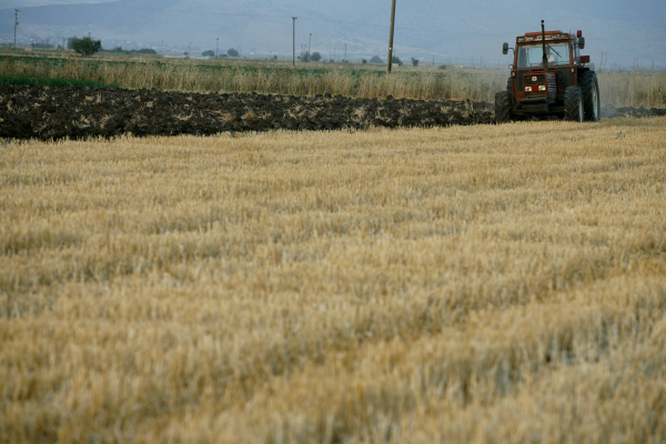 How One Insider Helped Expose Greece’s Widespread Abuse of EU Farm Funds