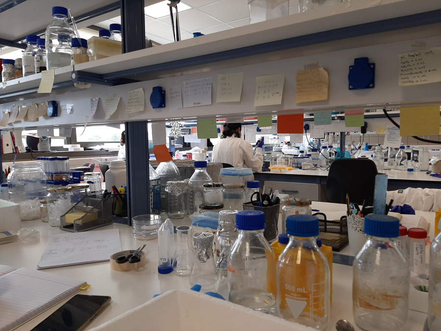 Μόνιμες προσλήψεις στα ΑΕΙ και στα ερευνητικά κέντρα ζητά ομάδα ερευνητών