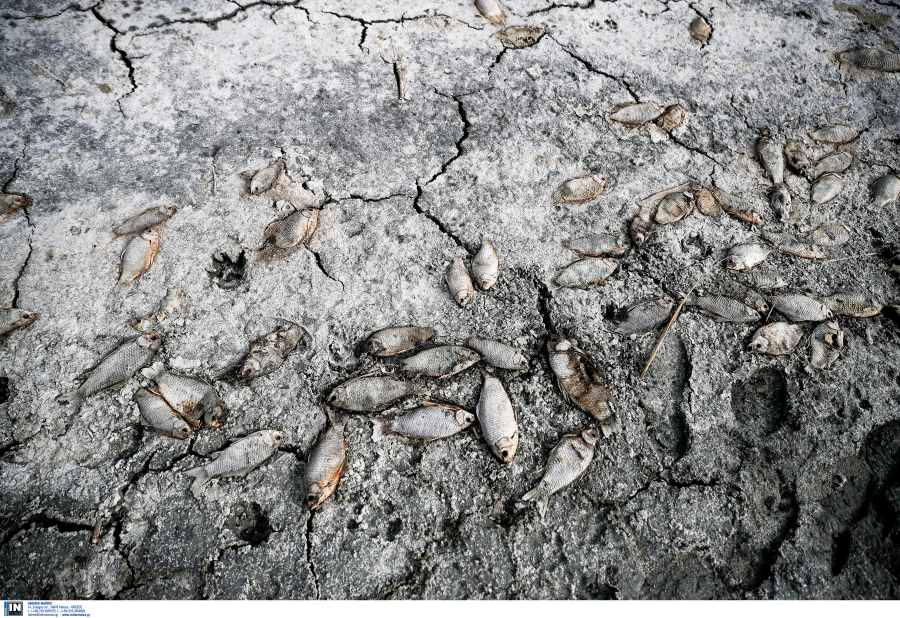 Εκπέμπει SOS η Ολλανδία: «Στέγνωσε» η χώρα, νερό ούτε για...δείγμα