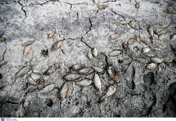 Εκπέμπει SOS η Ολλανδία: «Στέγνωσε» η χώρα, νερό ούτε για...δείγμα