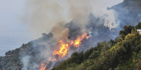 Νέα φωτιά στην Κέρκυρα - Καλύτερη η εικόνα στην Πιερία