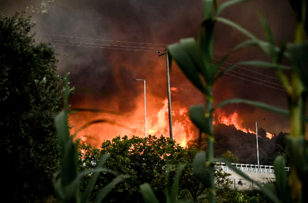 BBC για φωτιές σε Ελλάδα, Νότια Ευρώπη και Βαλκάνια: Υψηλές θερμοκρασίες τροφοδοτούν την πύρινη κόλαση