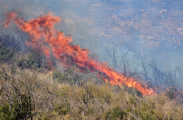 Πύρινα μέτωπα σε πολλές περιοχές της χώρας